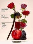 画像2: 【Bath&BodyWorks】ファインフレグランスミスト：ダークキス