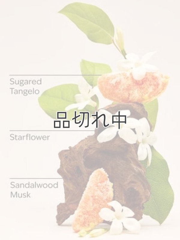 画像2: 【Bath&BodyWorks】ファインフレグランスミスト：in the Stars
