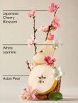 画像3: 【Bath&BodyWorks】シグネチャー1-wickキャンドル（8oz）：ジャパニーズチェリーブロッサム