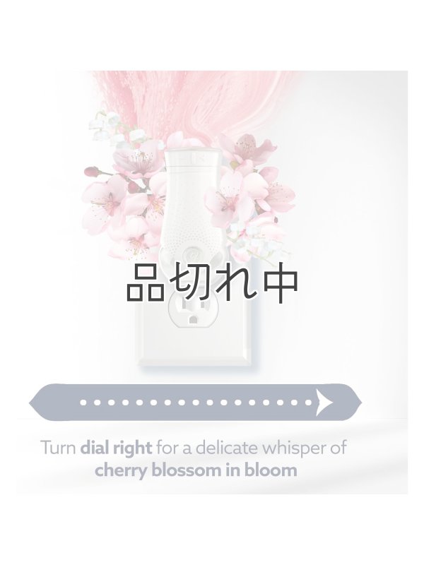画像5: 【glade】プラグインオイルリフィル(2個入)：《CustomScent》メロン＆チェリーブロッサム