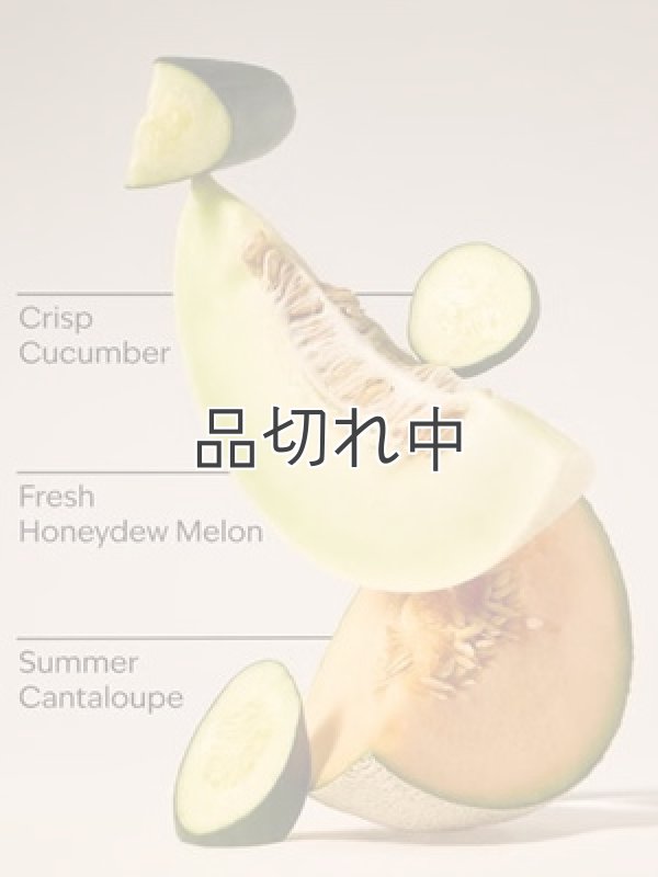 画像2: 【Bath&BodyWorks】Wallflowers詰替リフィル(2個入り)：キューカンバーメロン