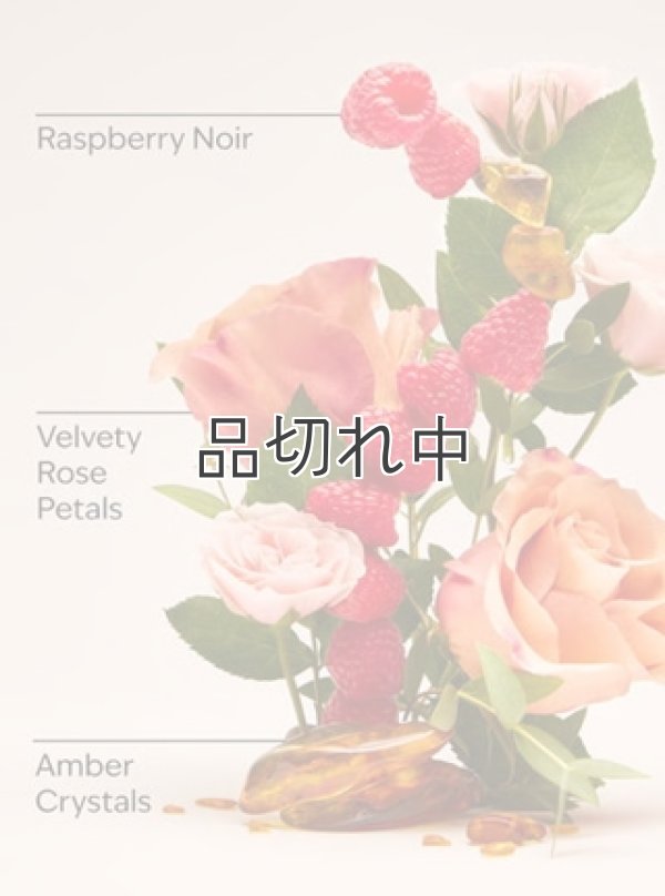 画像3: 【Bath&BodyWorks】Wallflowers詰替リフィル(2個入り)：Into the Night