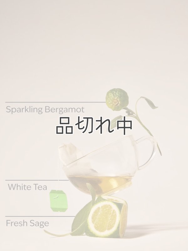 画像2: 【Bath&BodyWorks】フォーミングハンドソープ：ホワイトティー＆セージ