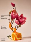 画像2: 【Bath&BodyWorks】Wallflowers詰替リフィル：ピンクペタルコンフェッティ