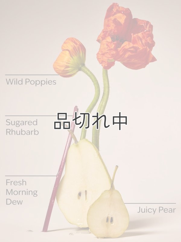 画像2: 【Bath&BodyWorks】Wallflowers詰替リフィル：ポピー