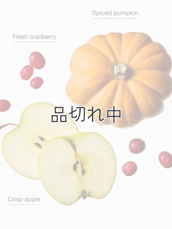 画像2: 【Bath&BodyWorks】フォーミングハンドソープ：ザパーフェクトオータム
