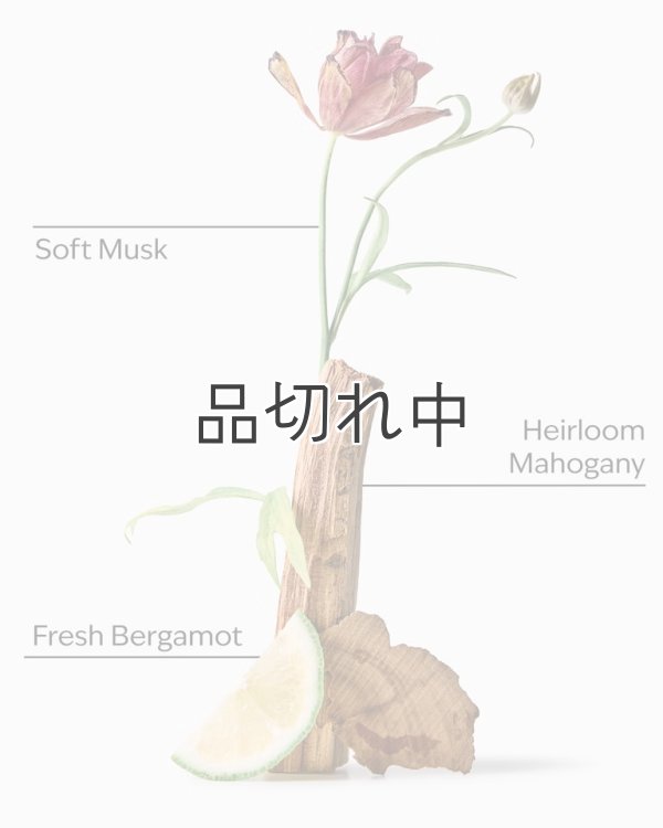 画像2: 【Bath&BodyWorks】フォーミングハンドソープ：フランネル