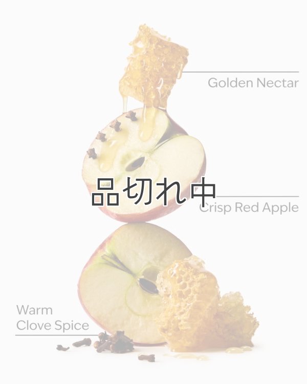 画像2: 【Bath&BodyWorks】フォーミングハンドソープ：リーブス
