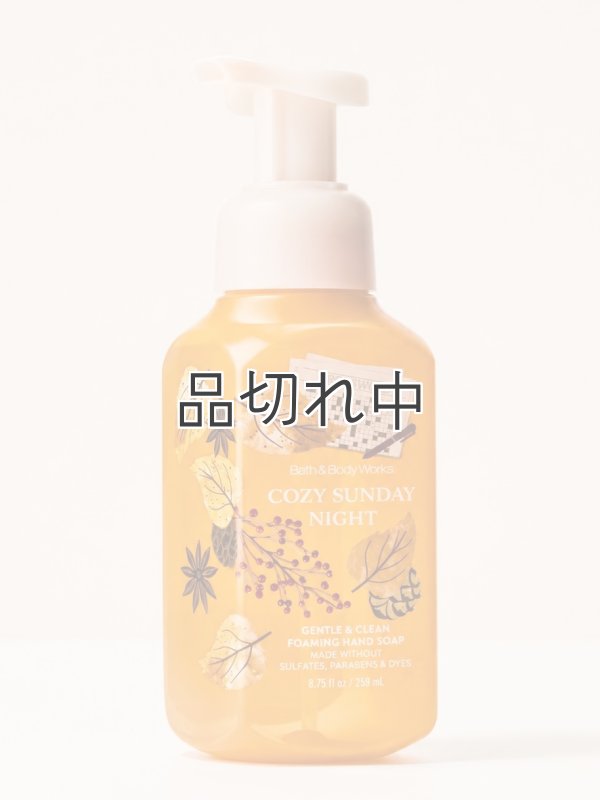 画像1: 【Bath&BodyWorks】フォーミングハンドソープ：コージーサンデーナイト
