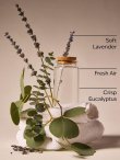 画像3: 【Bath&BodyWorks】Wallflowers詰替リフィル(2個入り)：ランドリーデイ