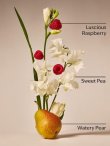 画像2: 【Bath&BodyWorks】Wallflowers詰替リフィル：スイートピー