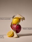 画像2: 【Bath&BodyWorks】Wallflowers詰替リフィル：フレッシュシーツ