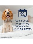 画像5: 【glade】プラグインオイル本体+リフィル2個セット：ペットフレッシュ