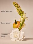 画像3: 【Bath&BodyWorks】3-wickキャンドル（14.5oz）：ホワイトガーデニア