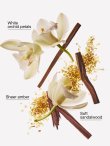 画像2: 【Bath&BodyWorks】Wallflowers詰替リフィル：ドリーミーアンバー