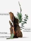 画像2: 【Bath&BodyWorks】Wallflowers詰替リフィル：スウェターウェザー