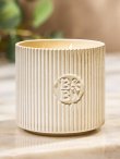 画像1: 【Bath&BodyWorks】3-wickキャンドル（14.5oz）：バニラビーン(陶器仕様)