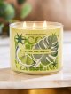 画像: 【Bath&BodyWorks】3-wickキャンドル（14.5oz）：ココナッツライムバーベナ