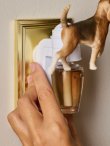 画像3: 【Bath&BodyWorks】Wallflowers本体：スポーティングドッグ