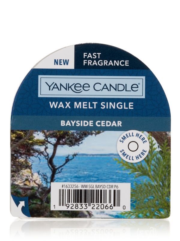 画像1: 【YANKEE CANDLE/ヤンキーキャンドル】ワックスメルト：ベイサイドシダー