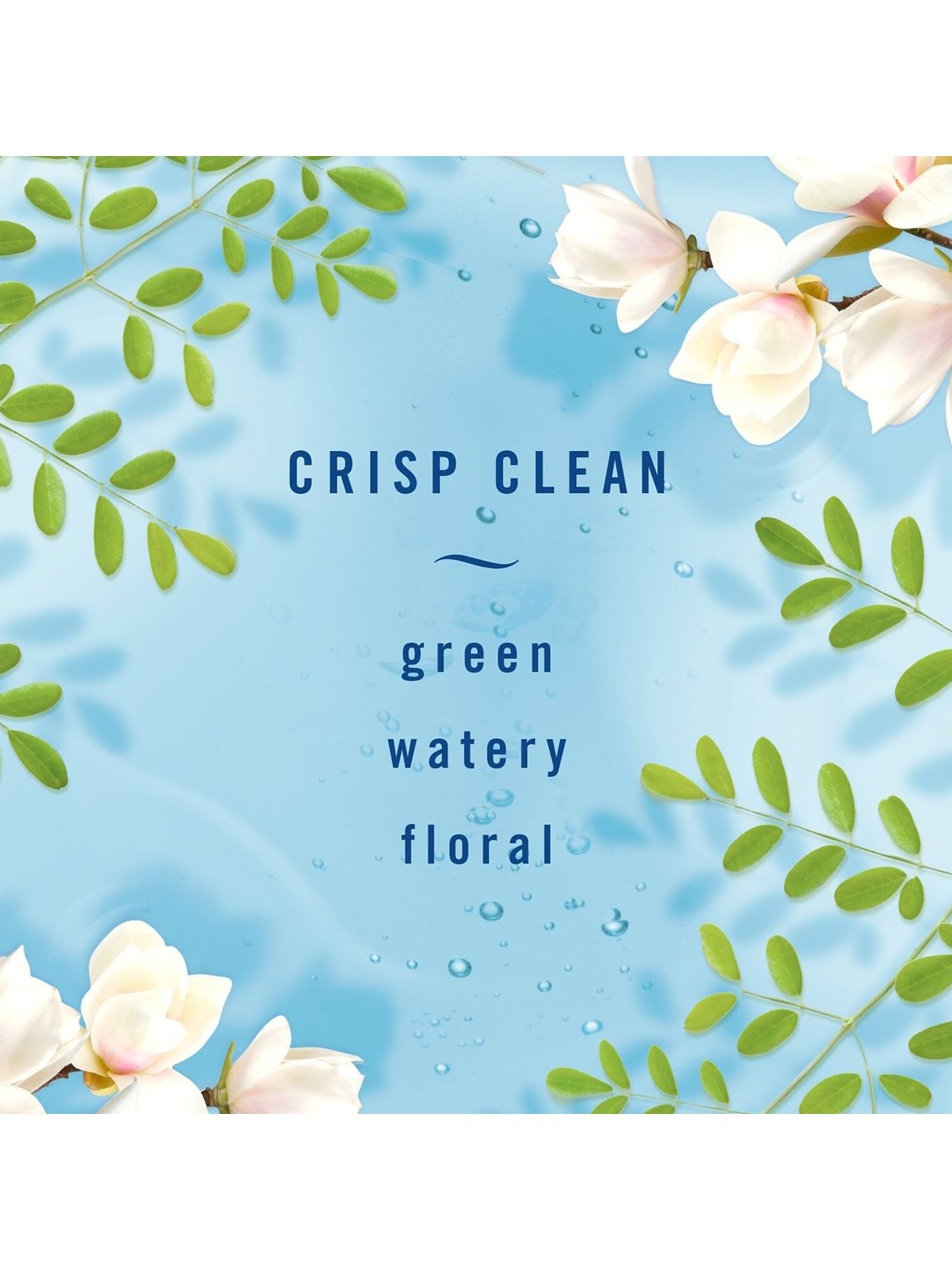 画像3: 【USファブリーズ】エアーフレッシュナー：クリスプクリーン