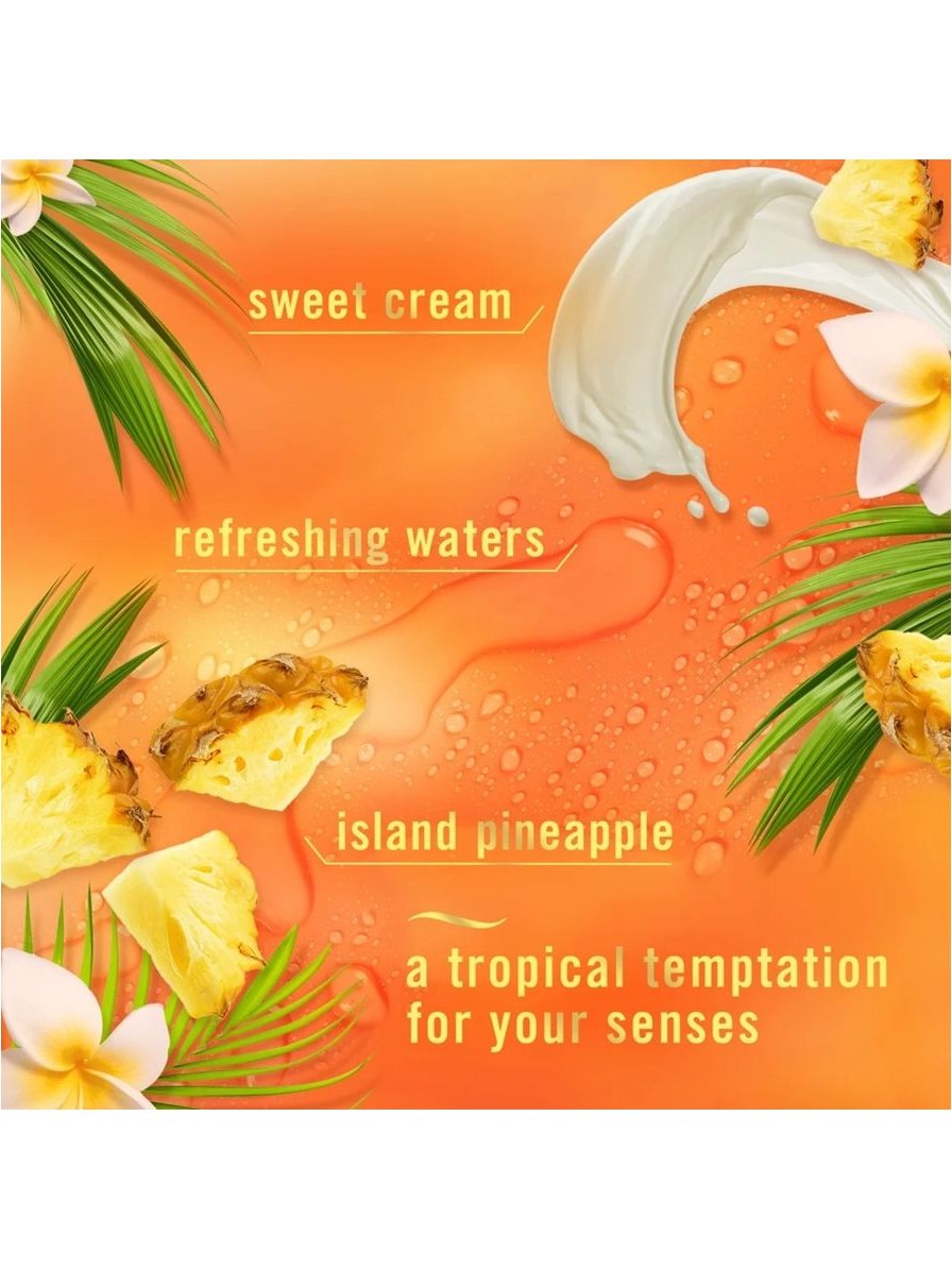 画像3: 【USファブリーズ】エアーフレッシュナー：トロピカルブレンド