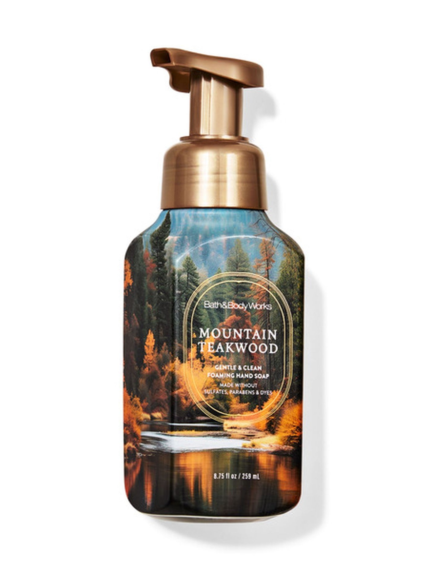 画像1: 【Bath&BodyWorks】フォーミングハンドソープ：マウンテンティークウッド