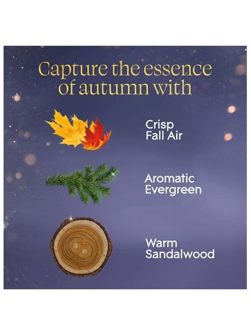 画像3: 【glade】プラグインオイルリフィル(2個入)：エンバー＆サンダルウッド