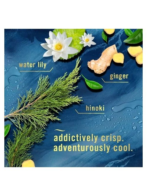 画像2: 【USファブリーズ】車用芳香剤(2個入り)：オーシャン