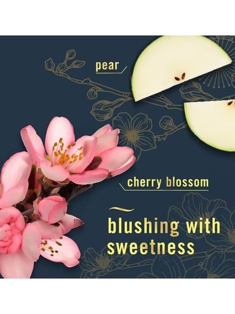 画像2: 【USファブリーズ】車用芳香剤(2個入り)：ジャパニーズチェリーブロッサム