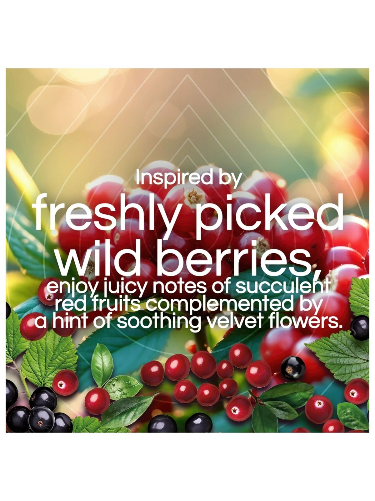 画像2: 【エアーウィック】プラグインオイルリフィル(2個入)：ライプクランベリー＆カラント