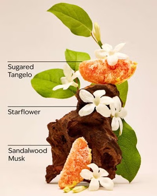 画像2: 【Bath&BodyWorks】トラベルサイズファインフレグランスミスト：In the Stars