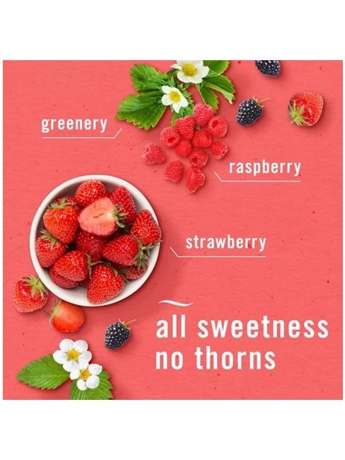 画像2: 【USファブリーズ】車用芳香剤(2個入り)：ベリー＆ブランブル