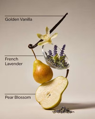 画像4: 【Bath&Body Works】フレグランスブースター(18oz/510g)：ムーンリットゴッデス