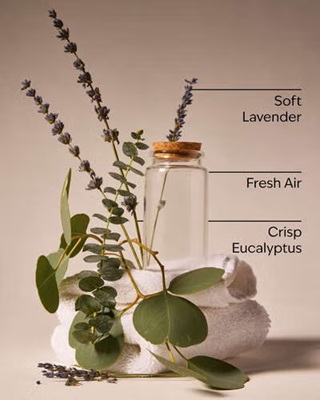 画像3: 【Bath&BodyWorks】カーフレグランス詰替リフィル：ランドリーデイ