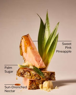 画像2: 【Bath&BodyWorks】カーフレグランス詰替リフィル：ピンクパイナップルサンライズ