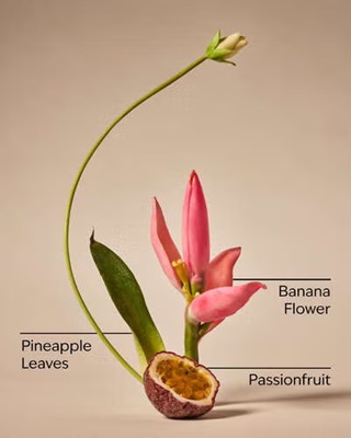 画像3: 【Bath&BodyWorks】ファインフレグランスミスト：バハマパッションフルーツ＆バナナフラワー