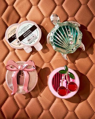 画像3: 【Bath&BodyWorks】カーフレグランスホルダー(ベント＆バイザークリップ付)：シェリータートル