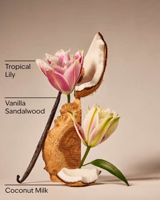 画像3: 【Bath&BodyWorks】ファインフレグランスミスト：Eau De Coconut (オードココナッツ)