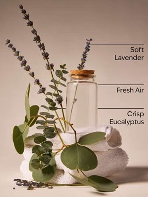 画像2: 【Bath&BodyWorks】Wallflowers詰替リフィル：ランドリーデイ