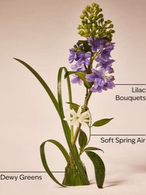 画像2: 【Bath&BodyWorks】Wallflowers詰替リフィル：フレッシュカットライラック