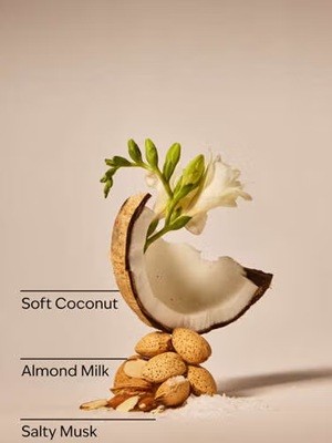 画像3: 【Bath&Body Works】ドライヤーシート(40枚入り)：ココナッツリネン