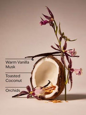 画像2: 【Bath&BodyWorks】Wallflowers詰替リフィル：ティキビーチ