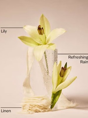 画像3: 【Bath&BodyWorks】Wallflowers詰替リフィル(2個入り)：フレッシュレインフォール＆リネン