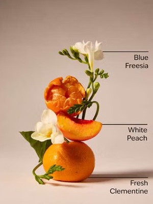 画像2: 【Bath&BodyWorks】Wallflowers詰替リフィル：ギンガム