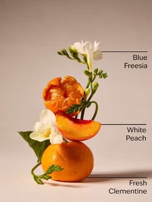 画像2: 【Bath&BodyWorks】ファインフレグランスミスト：ギンガム