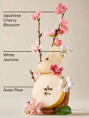 画像3: 【Bath&BodyWorks】シグネチャー1-wickキャンドル（8oz）：ジャパニーズチェリーブロッサム