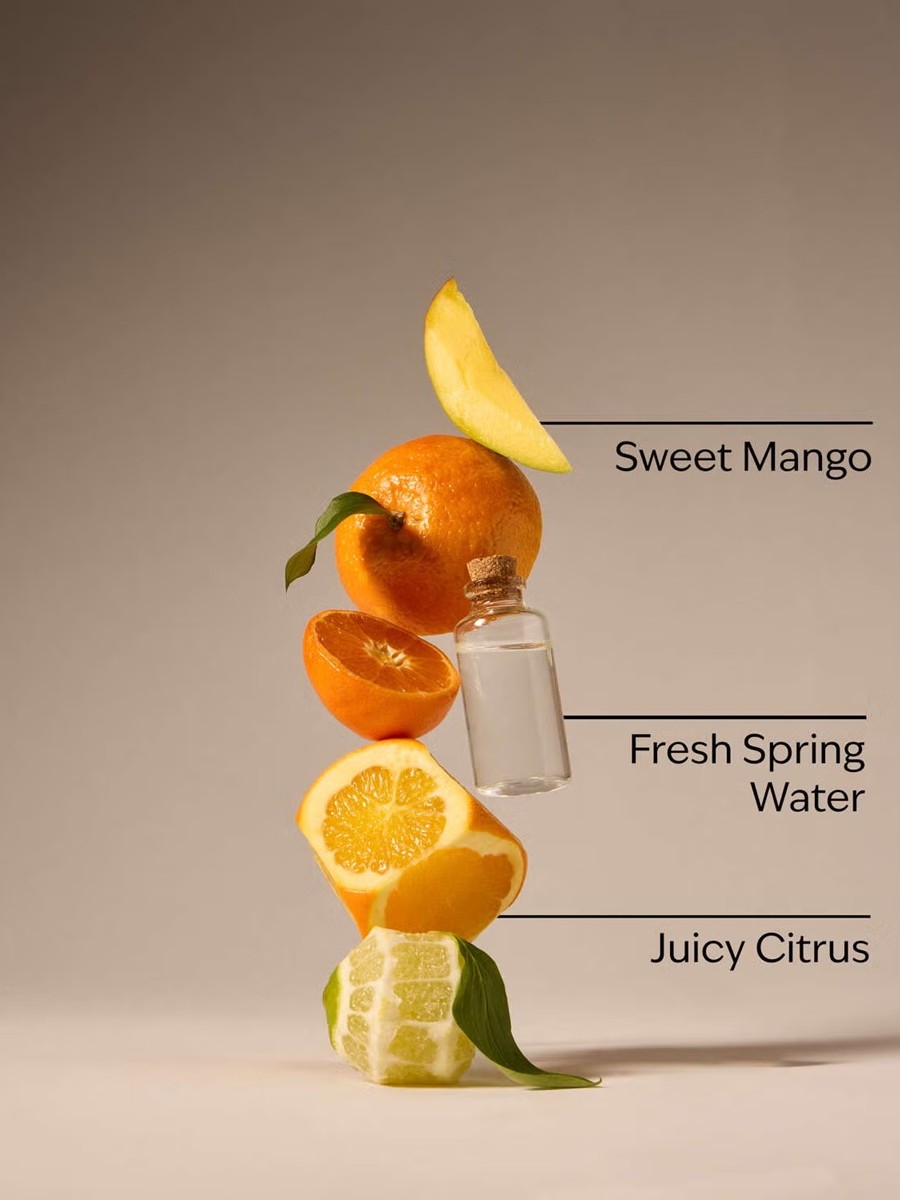 画像2: 【Bath&BodyWorks】Wallflowers詰替リフィル：ミッドナイトブルーシトラス