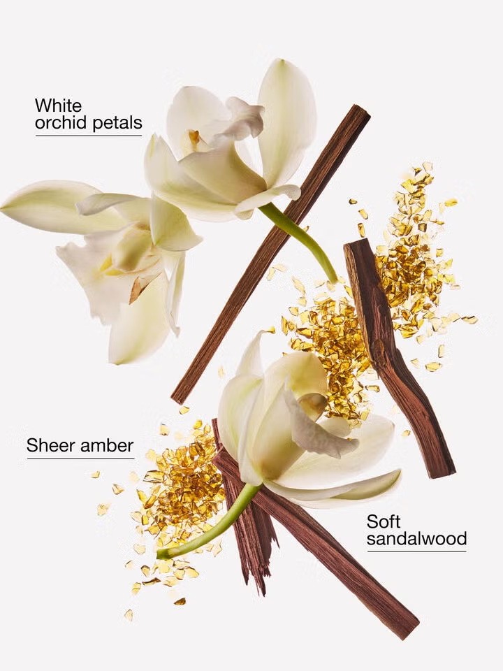 画像2: 【Bath&BodyWorks】Wallflowers詰替リフィル：ドリーミーアンバー