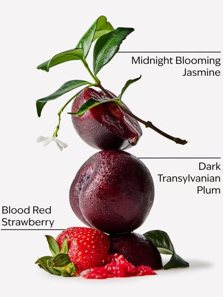 画像2: 【Bath&BodyWorks】Wallflowers詰替リフィル：Vampire Blood (ヴァンパイアブラッド)
